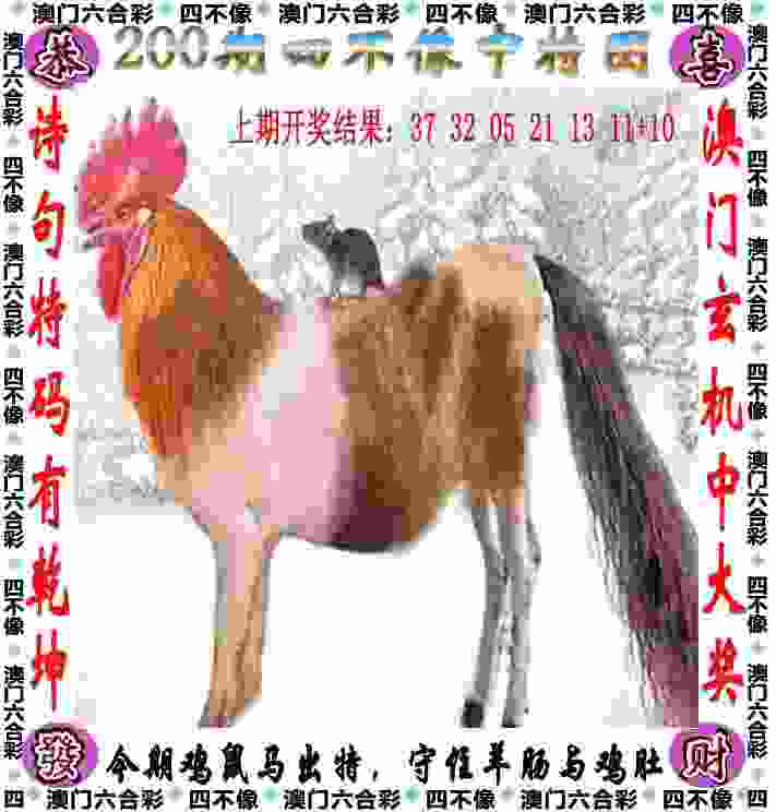 2025年正版资料官网入口 v4.2.56.93 官方正式版 1